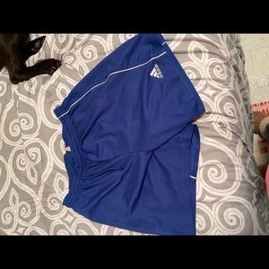 Blue Adidas Shorts
